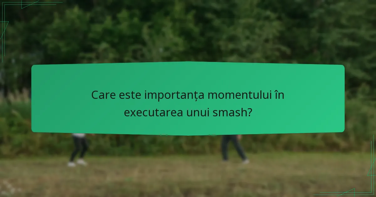 Care este importanța momentului în executarea unui smash?