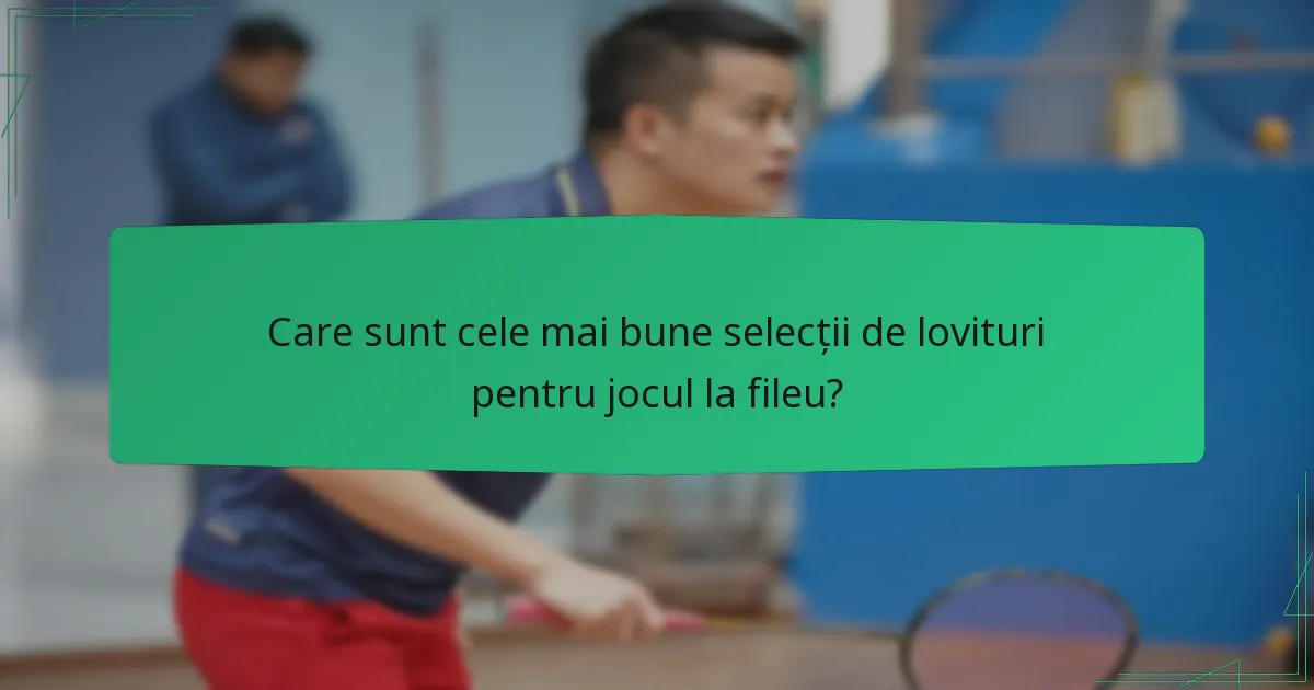 Care sunt cele mai bune selecții de lovituri pentru jocul la fileu?