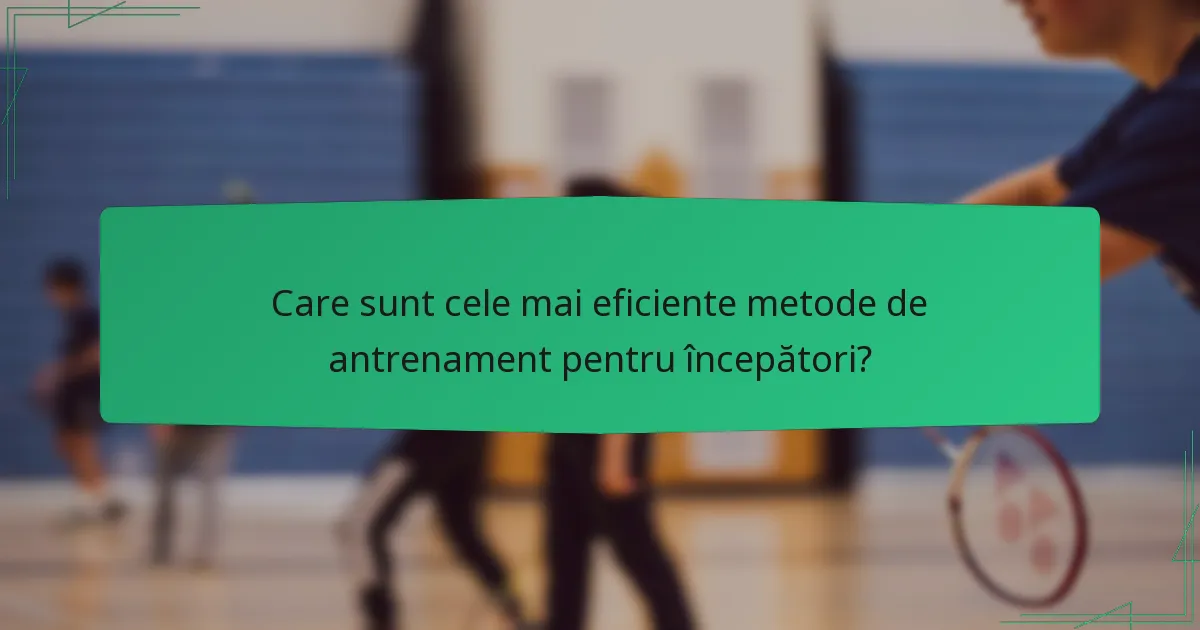 Care sunt cele mai eficiente metode de antrenament pentru începători?