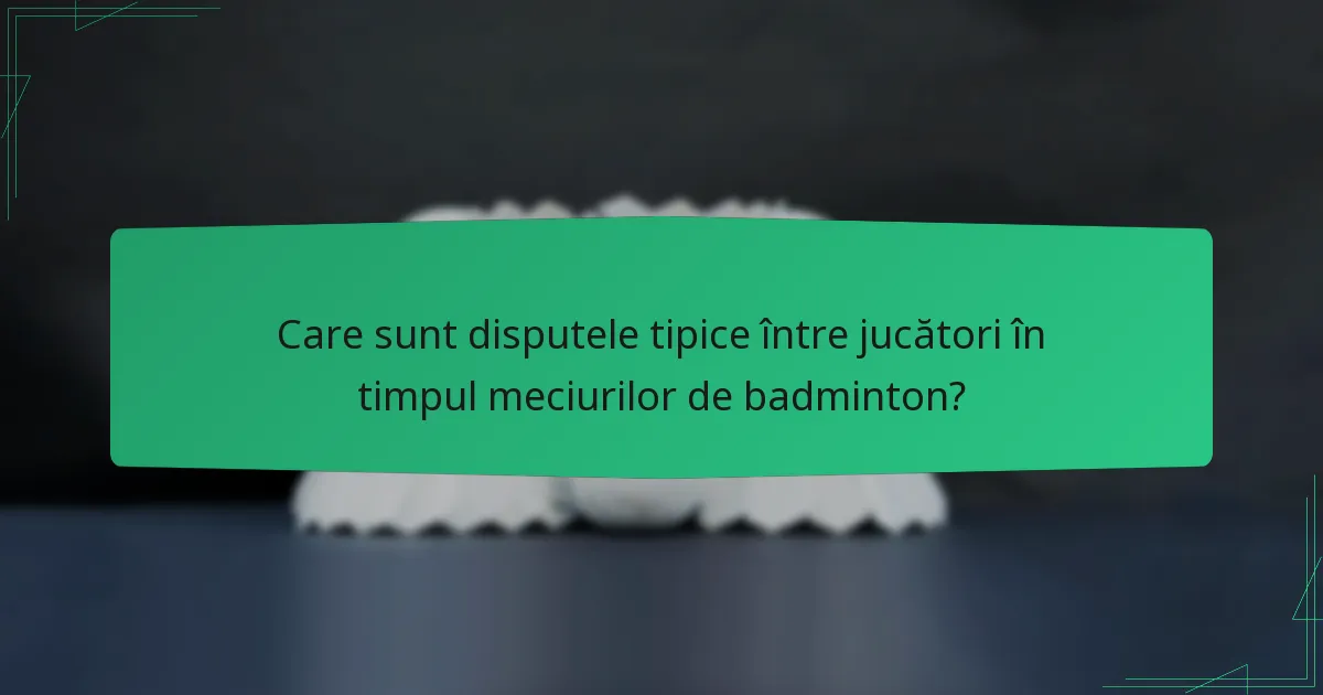 Care sunt disputele tipice între jucători în timpul meciurilor de badminton?