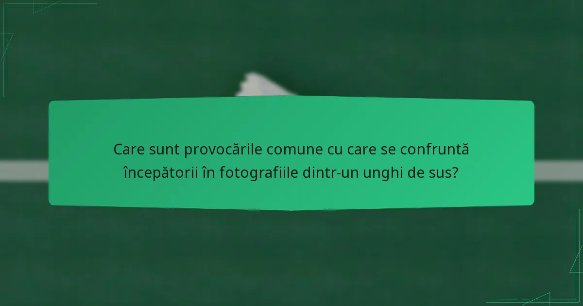 Care sunt provocările comune cu care se confruntă începătorii în fotografiile dintr-un unghi de sus?