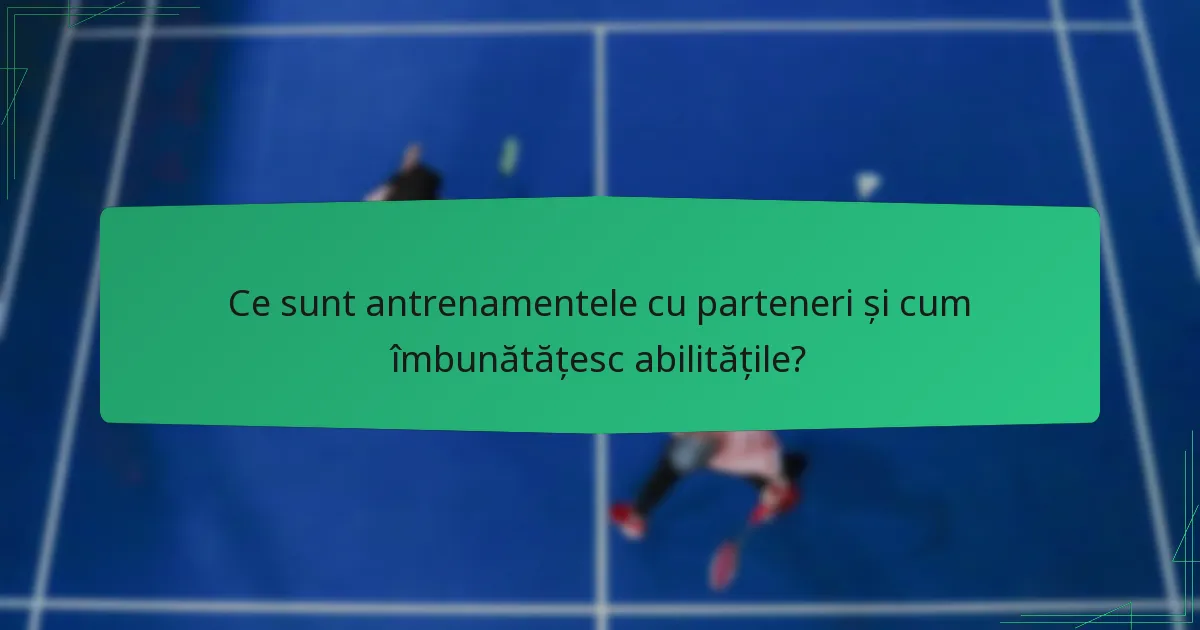 Ce sunt antrenamentele cu parteneri și cum îmbunătățesc abilitățile?