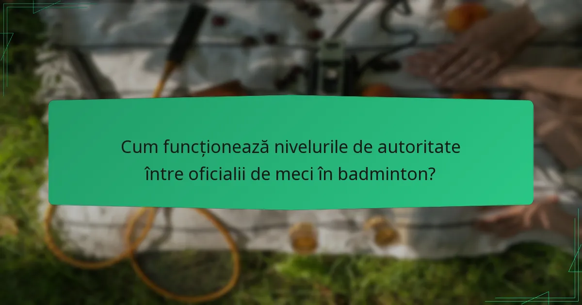 Cum funcționează nivelurile de autoritate între oficialii de meci în badminton?