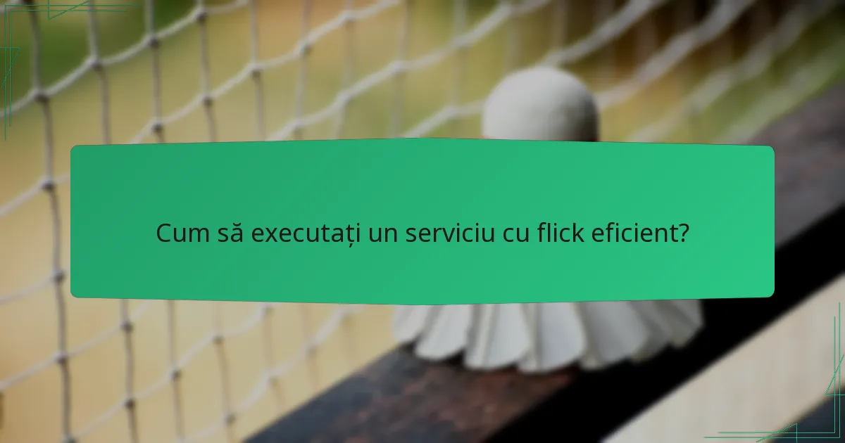 Cum să executați un serviciu cu flick eficient?